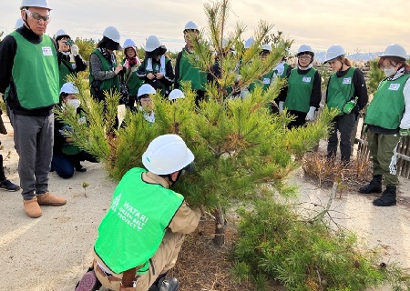 枝打ちのやり方の説明