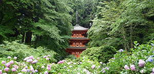 神社仏閣めぐり