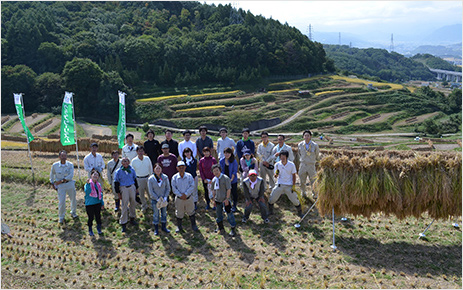 「長野県上田市・稲倉の棚田稲刈り体験」1