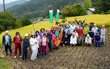 「岐阜県恵那市・坂折の棚田稲刈り体験」1