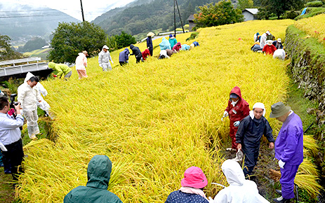 「岐阜県恵那市・坂折の棚田稲刈り体験」2